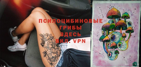 спиды Алзамай