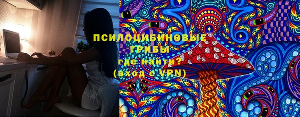 кокс Алексин
