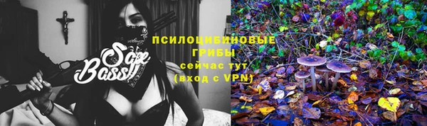 кокс Алексин